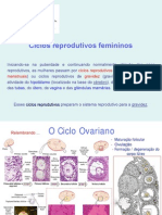 Slides Ciclos Reprodutivos