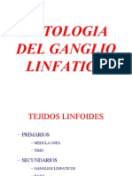 Ganglio Linfatico Final