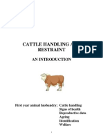 Cattle Handling Booklet 2