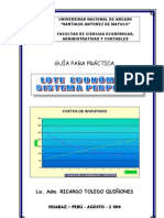 Guia Practica Lote Economico