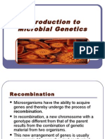 Introduction To Microbial Genetics