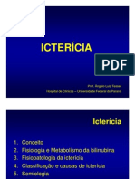 Icterícia: Prof. Ângelo Luiz Tesser Hospital de Clínicas - Universidade Federal Do Paraná