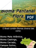 Seminario Pantanal