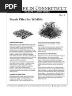 Brush Piles For Wildlife