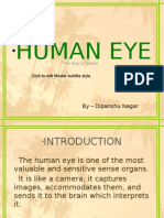 Human Eye Presentation