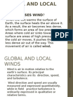 Surface and Local Winds