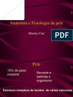 Anatomia e Fisiologia Da Pele