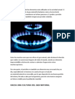 El Gas Natural Es Uno de Los Elementos Más Utilizados en La Sociedad Actual