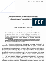 Individual Variation in The Neotropical Salamander Bolitoglossa Peruviana (Boulenger, 1883) (Amphibia