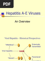 Hepatitis A-E Viruses: An Overview