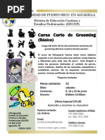 Tercera Seccion de Grooming Basico