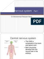 Central Nervous System: DR Muhammad Ressam Nazir