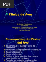 Clinica de Aves 1