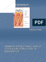 Cementum