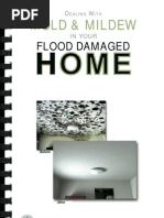 Fema Mold Brochure English