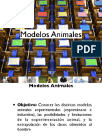 Tema+1 +Modelos+Animales-1