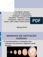 Semanas de Gestação Humana