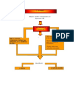 Mapa Conceptual de Ciencia y Metodo Cientifico1