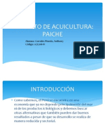 Proyecto de Acuicultura