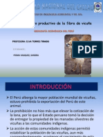 Proyecto Productivo Fibra de Vicuña