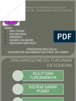 Organogenesis Turunan Ektoderm