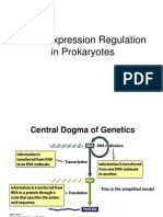 Lecture 7 - Regulation of Gene Expression 05-22-12-1