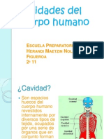 Cavidades Del Cuerpo Humano HTTP