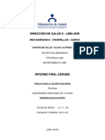 Informe Final Serums