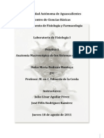 Práctica 1 Anatomía Macroscópica de Los Sistemas de Órganos