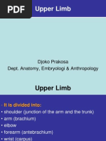 Clinical Anat Upper and Lower Limb