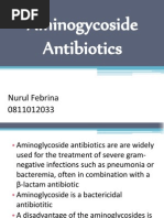 Aminogycoside Antibiotics