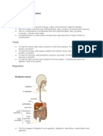 Characteristics of Living Things Cells