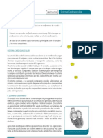 Sistema Cardionector