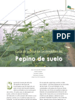 Cultivo Pepino