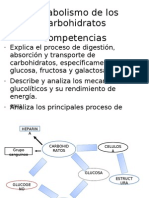 Medicina Metabolismo de Los Carbohidratos