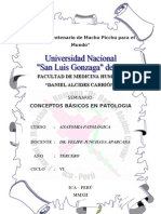 Seminario I Patologia