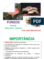 Aula 5 Fungos