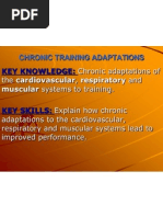 Chapter 11 Training Adaptations