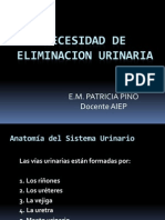 1 Teo Necesidad de Eliminacion Urinaria