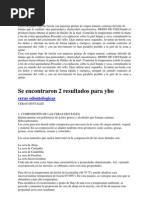 PDF Documento