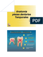 Anatom - A Piezas Temporales