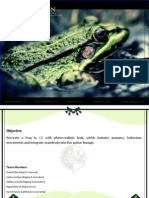 Frog Dissertation