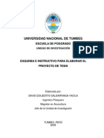 Esquema e Instructivo Proyecto Tesis UNT