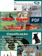 Ordem Lagomorpha