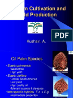 Oil Palm Cultivation 