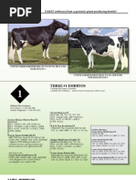 Sale Catalog - Holstein Plaza Online Embryo Auction