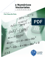 Unidad 1 Algebra Superior - Conj Num Yesp. Vect. RosaDePena