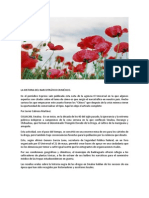 La Historia Del Narcotráfico en México