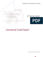 Sample Credit Report