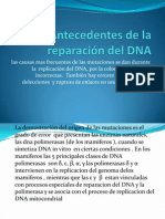 Mecanismos de Reparación Del DNA